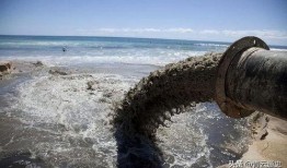 日本核废水最新爆料消息,最新爆料揭露惊人真相！